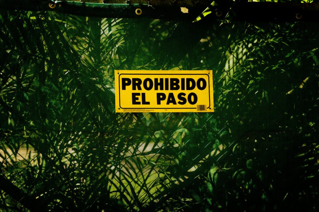 Qué es un dominio y cómo registrarlo paso a paso 1 pexels photo 28236577